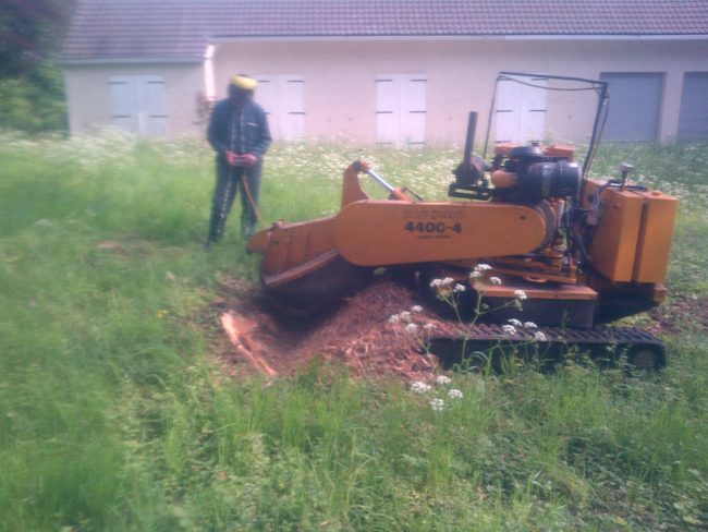 rognage arbre yvelines