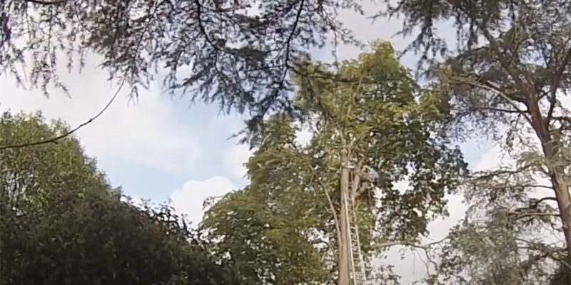 démontage arbre yvelines