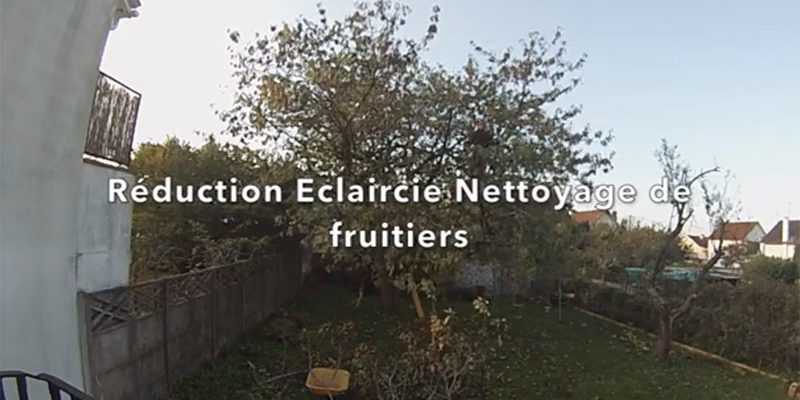 nettoyage arbre fruitier Treelogie